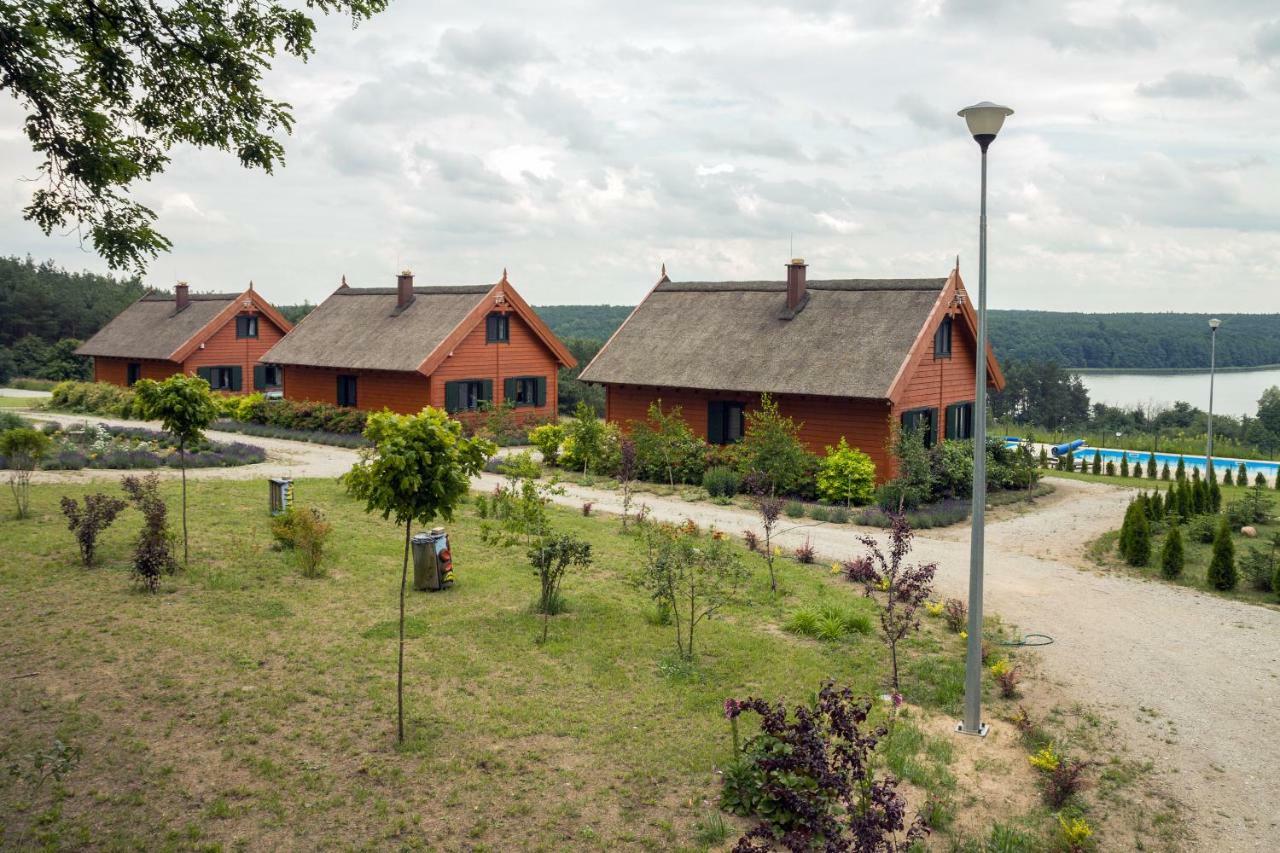 Brzezina -