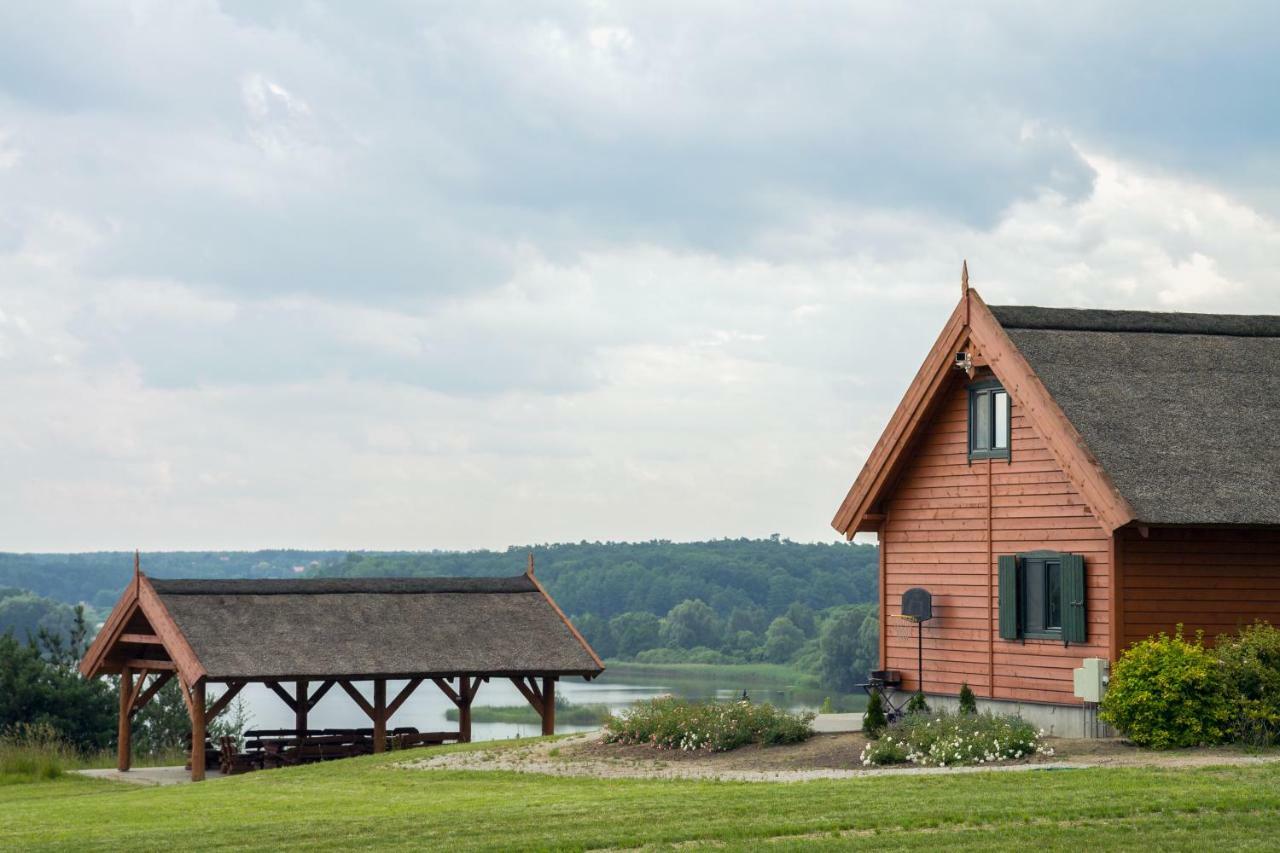 Villa Brzezina - Żnin