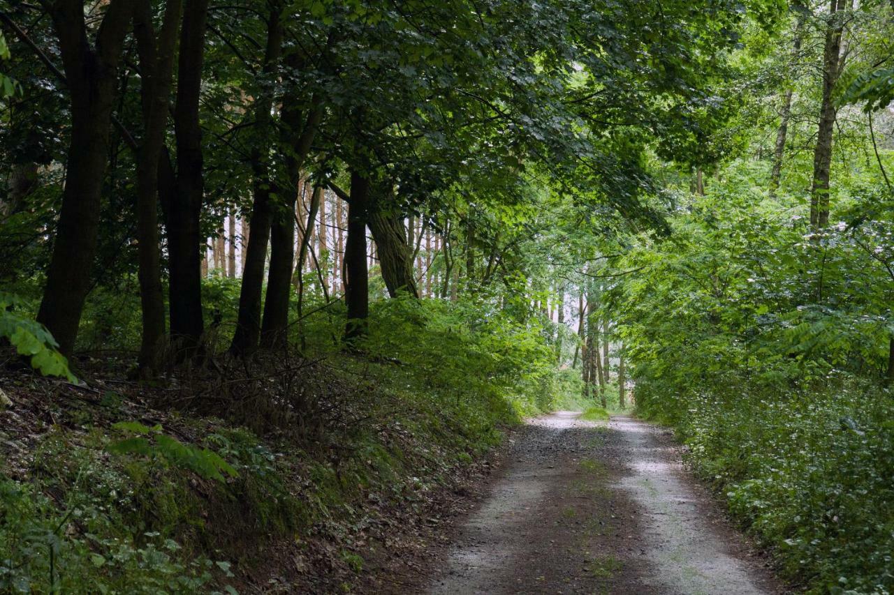 Brzezina -