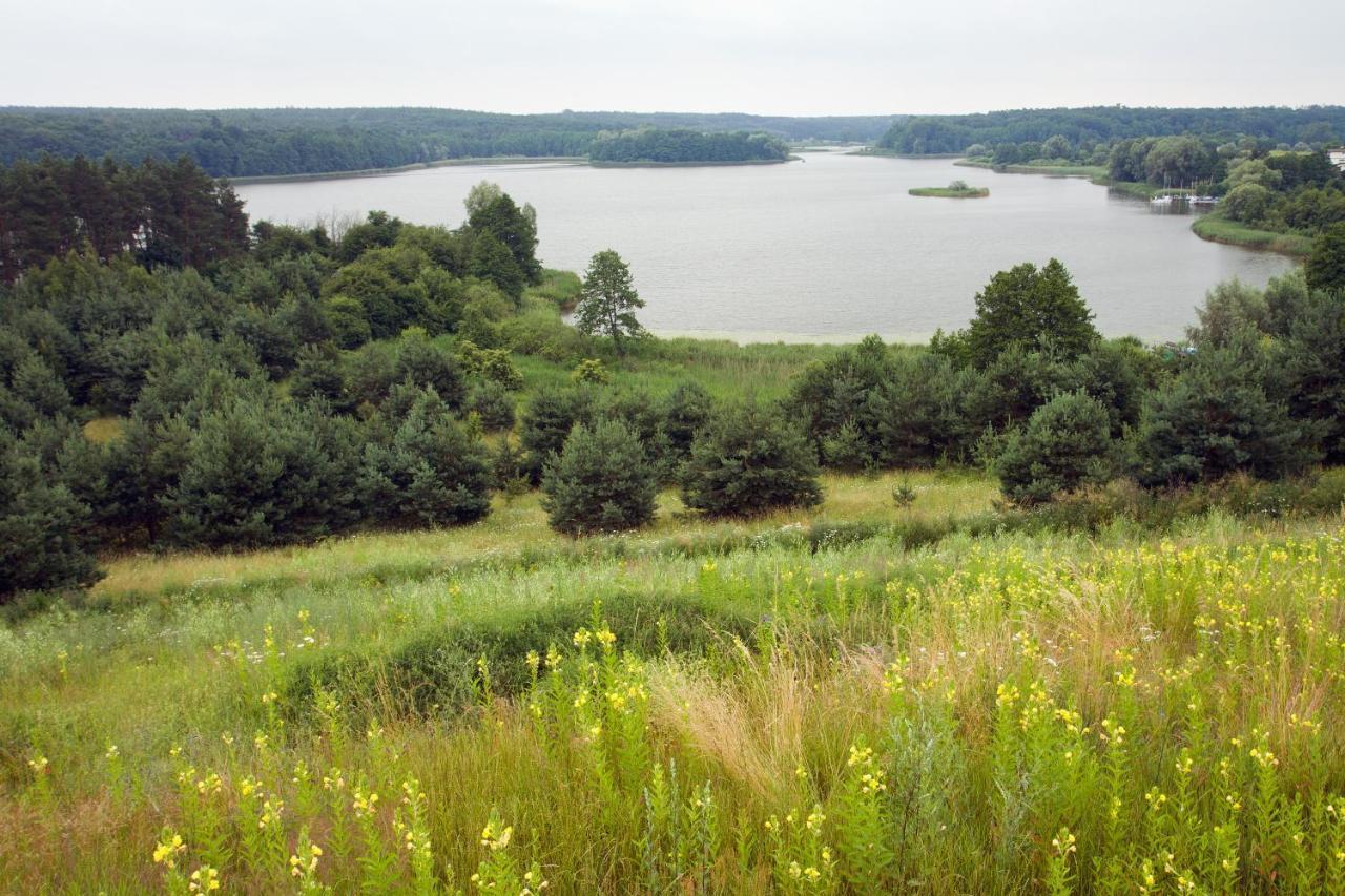 Brzezina - Żnin