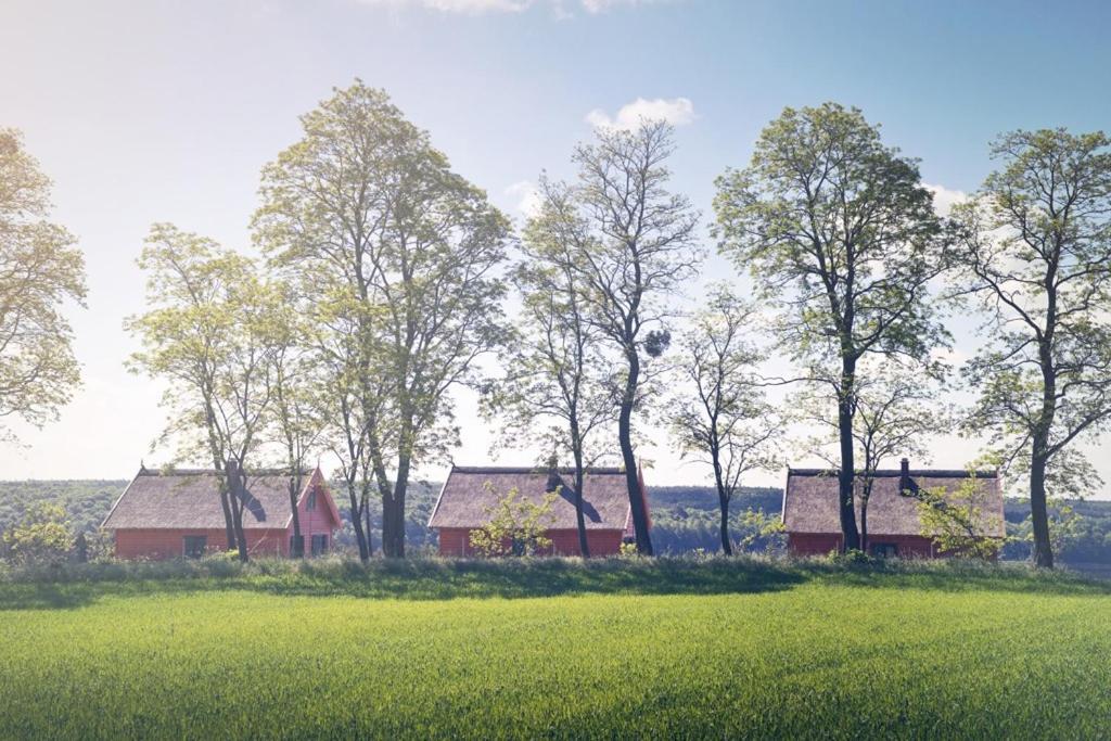 Villa Brzezina - Żnin